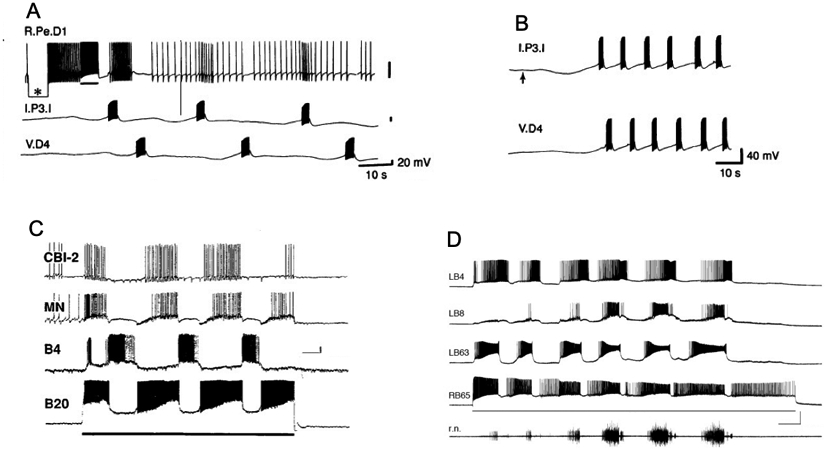 Figure 4.