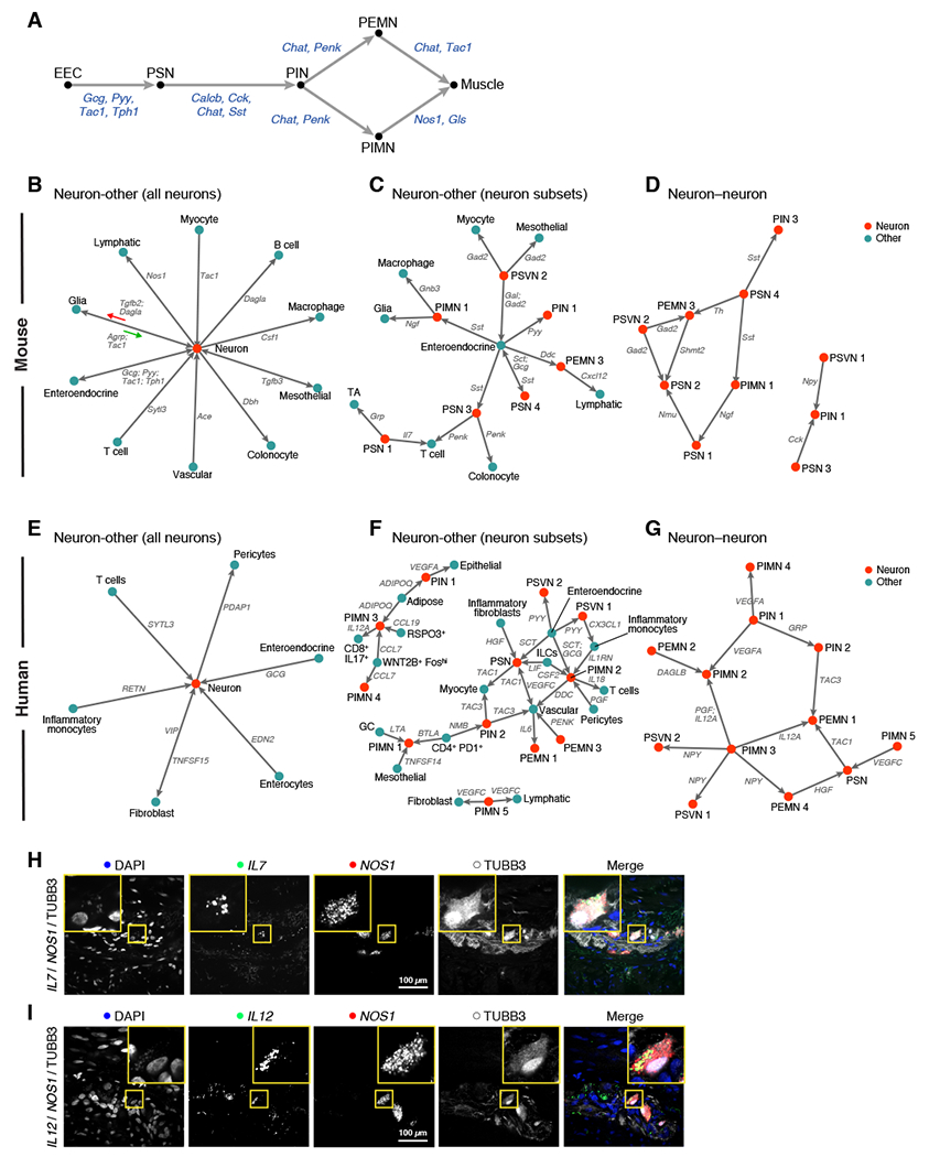 Figure 6: