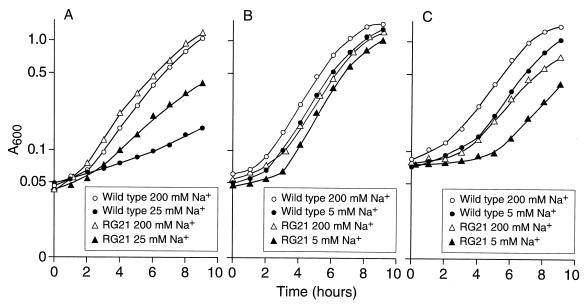 FIG. 6