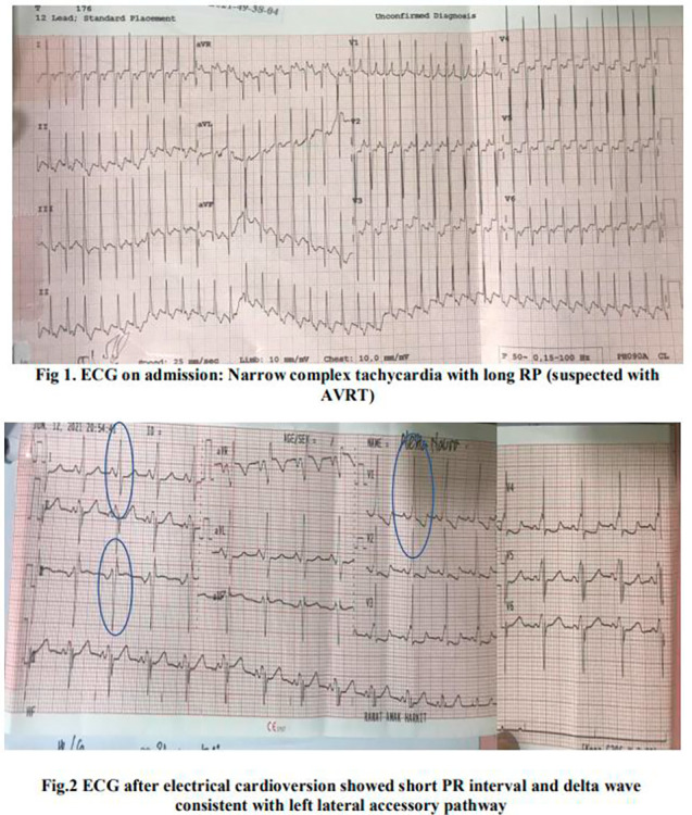graphic file with name JOA3-39-3-g102.jpg