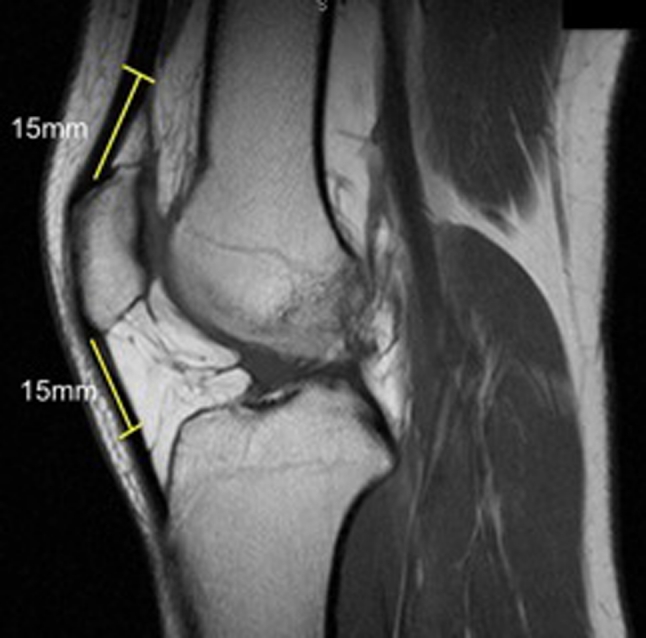 Fig. 7