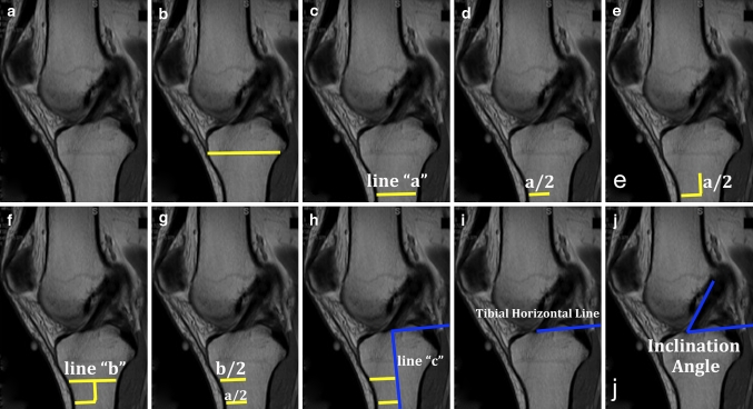 Fig. 6