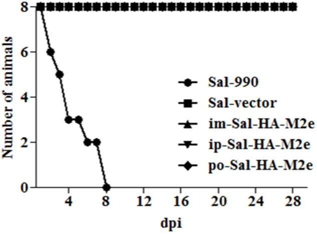 FIGURE 3