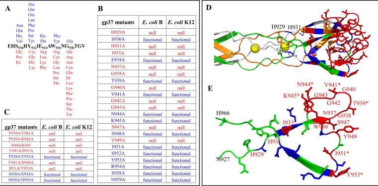 Fig 4