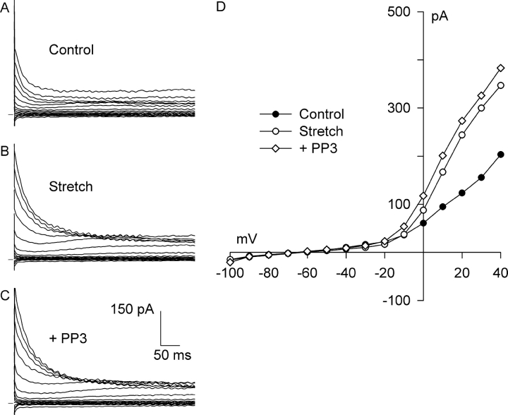 Figure 9. 