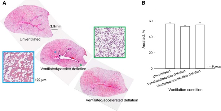 Fig. 13.