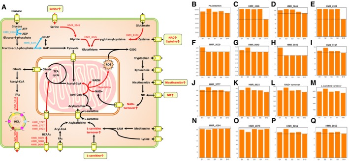 Figure 5