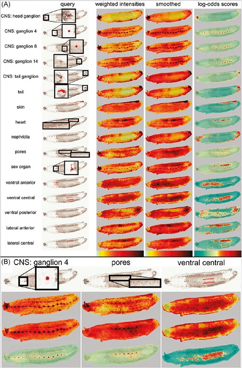 Figure 15