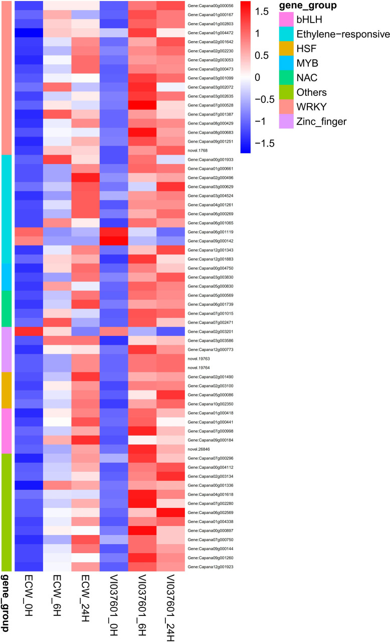 Fig 6