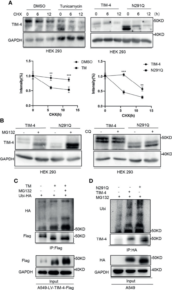 Figure 5