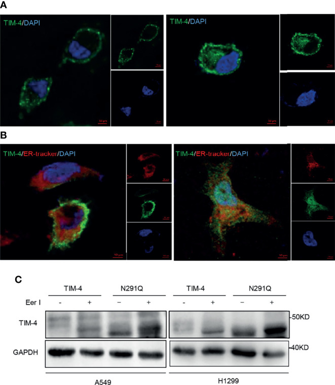 Figure 6