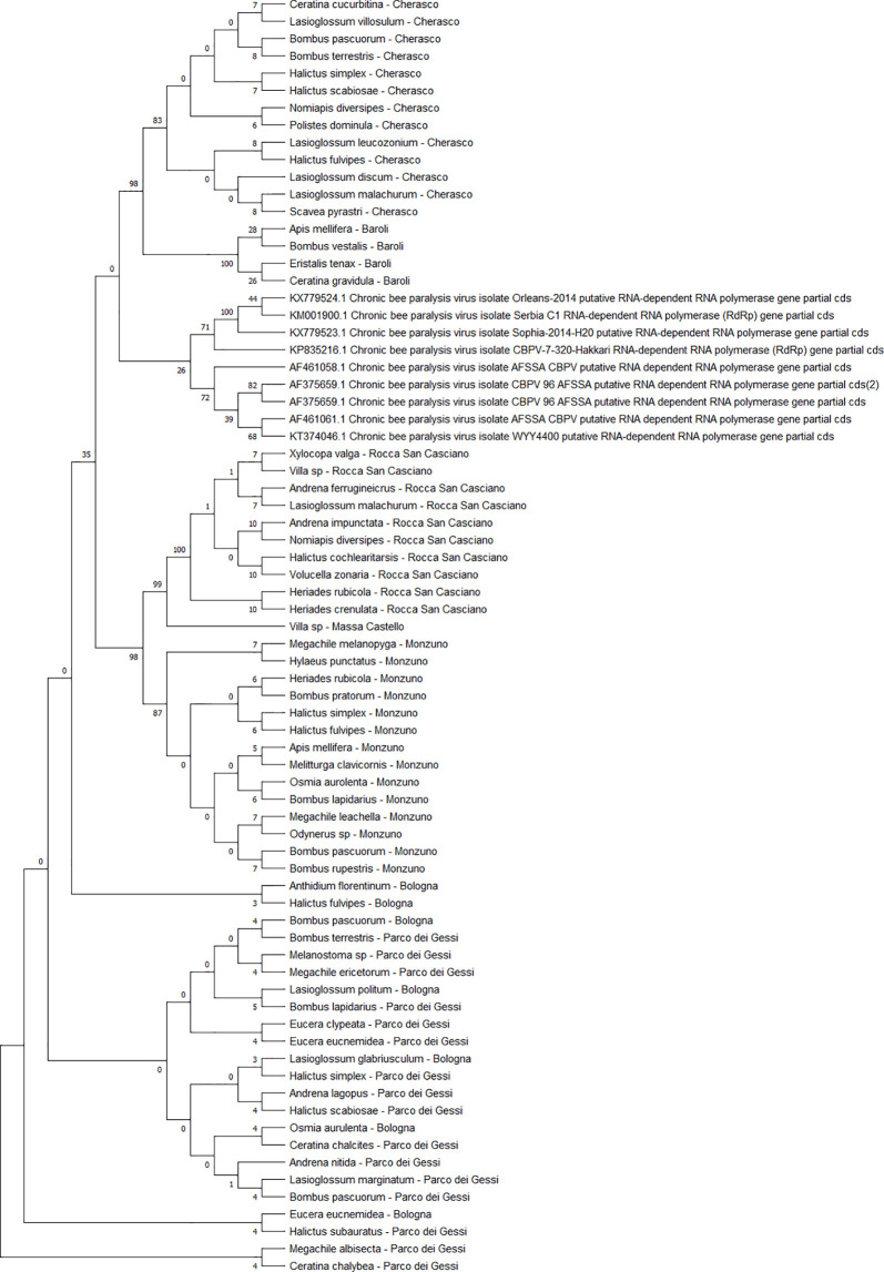 Figure 7