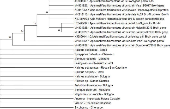 Figure 5