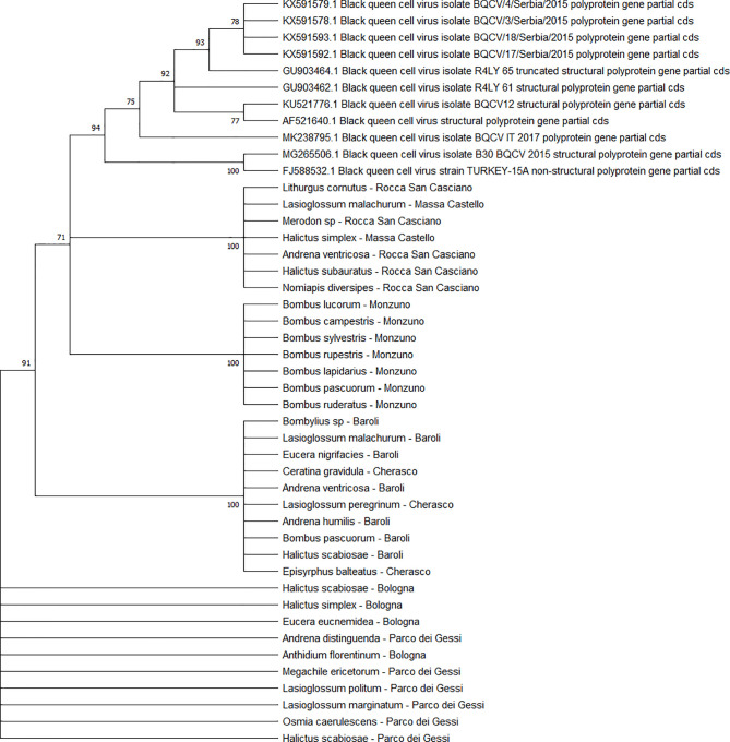 Figure 10