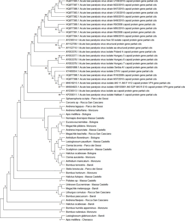 Figure 4