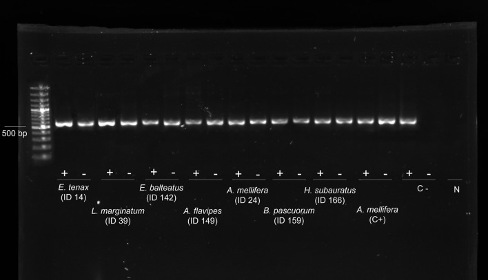 Figure 2