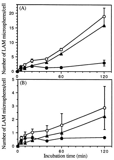 FIG. 7