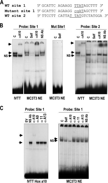 FIG. 4.