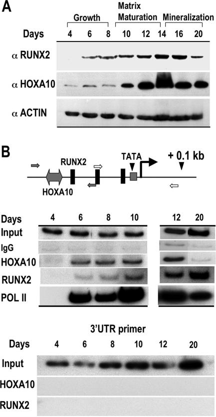 FIG. 6.