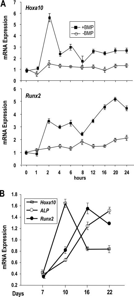 FIG. 1.