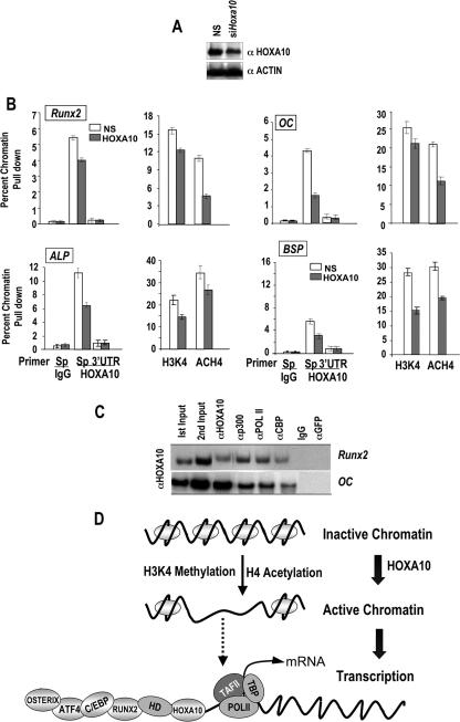 FIG. 10.