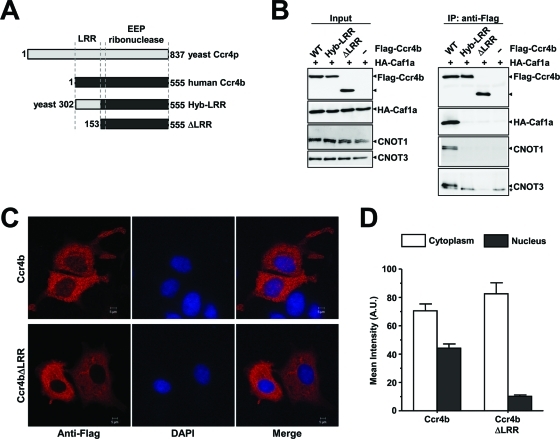 FIGURE 4: