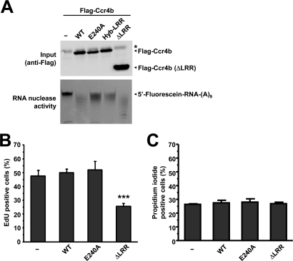 FIGURE 5: