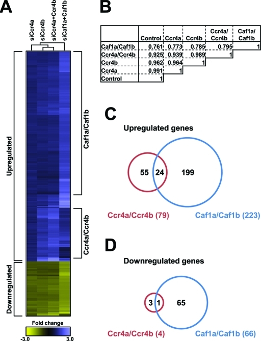 FIGURE 6: