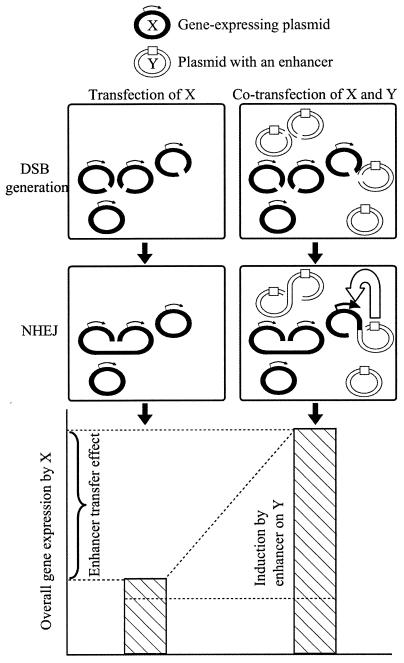 FIG. 8.