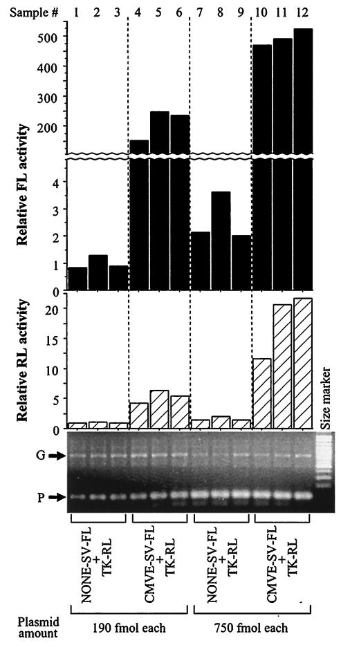 FIG. 5.