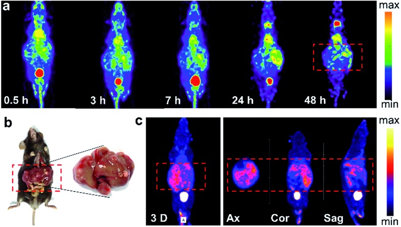 Fig. 4