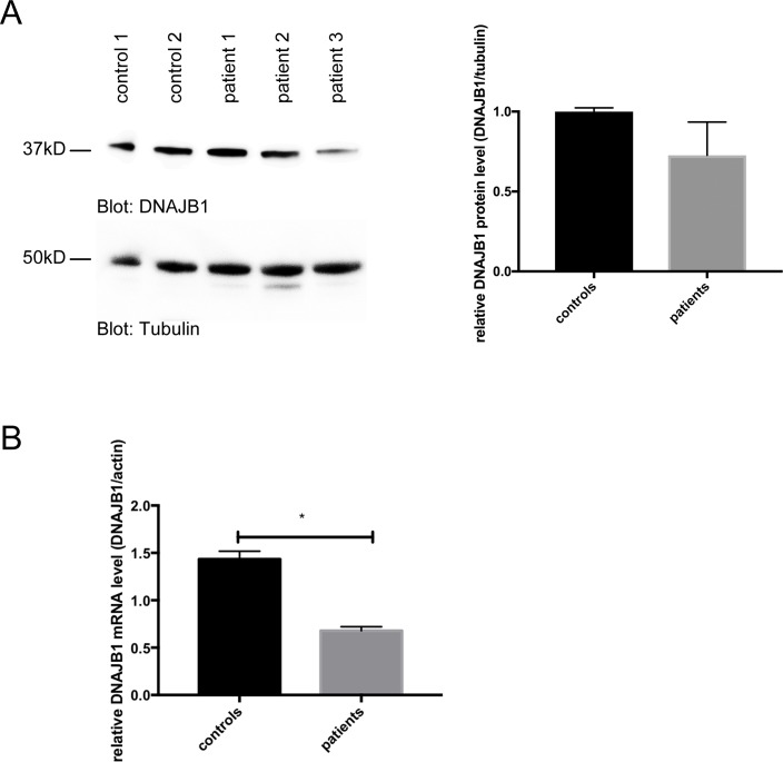 Fig 5