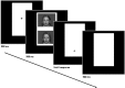 <b>FIG. 1.</b>