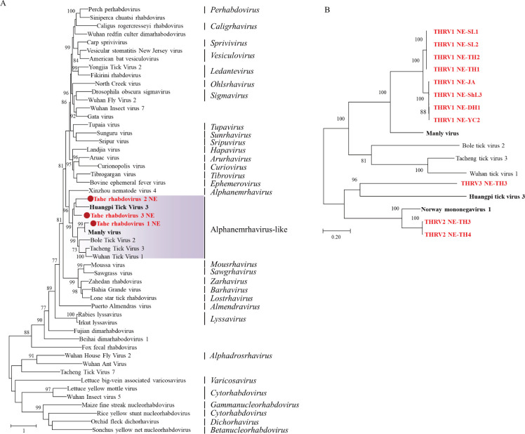 Fig 6