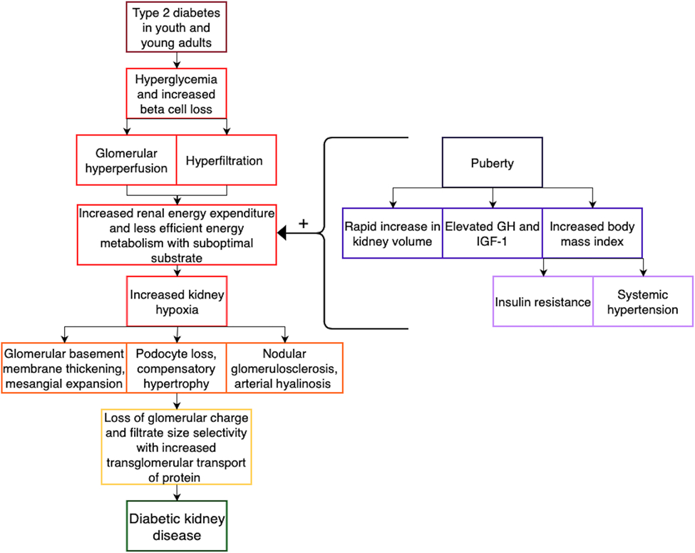 Figure 1: