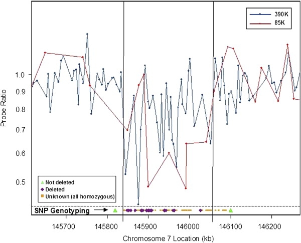 Figure 3