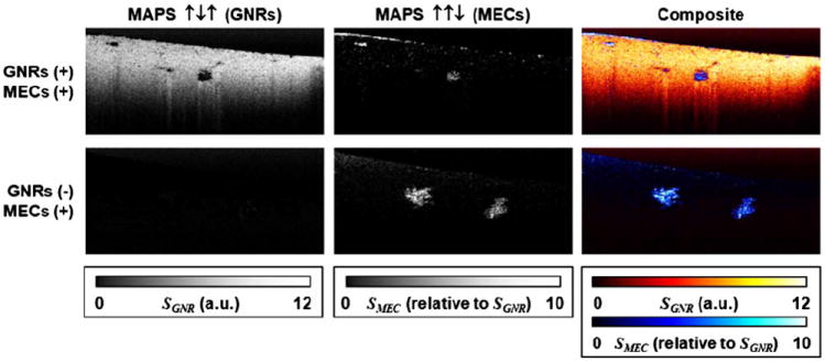 Fig. 3