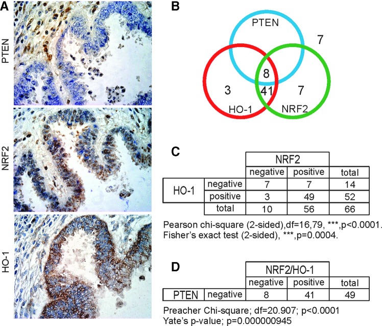 FIG. 8.