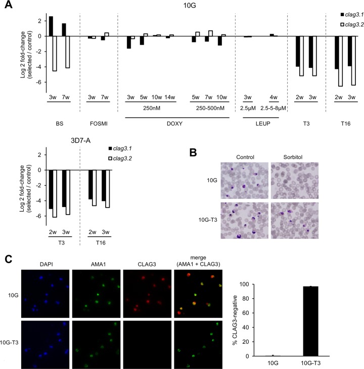 FIG 3