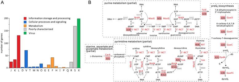 Fig 4