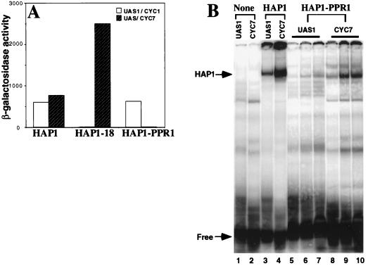 FIG. 6