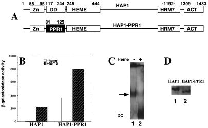 FIG. 5