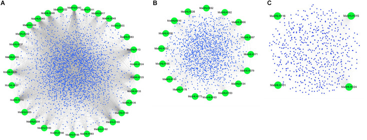 FIGURE 7