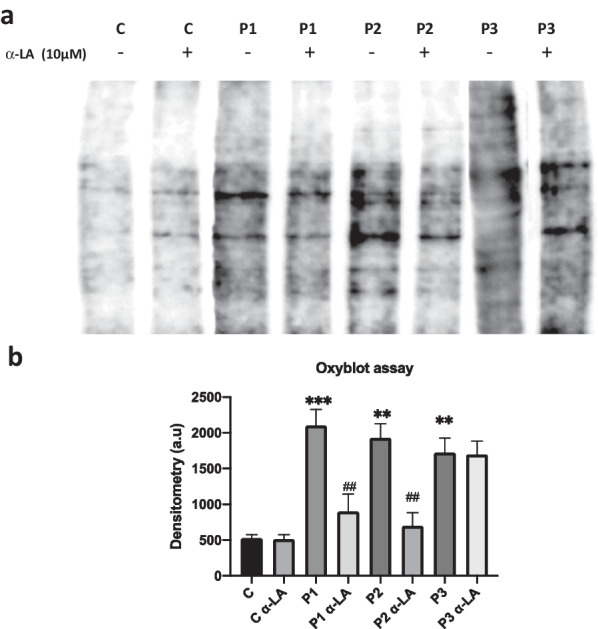 Fig. 10