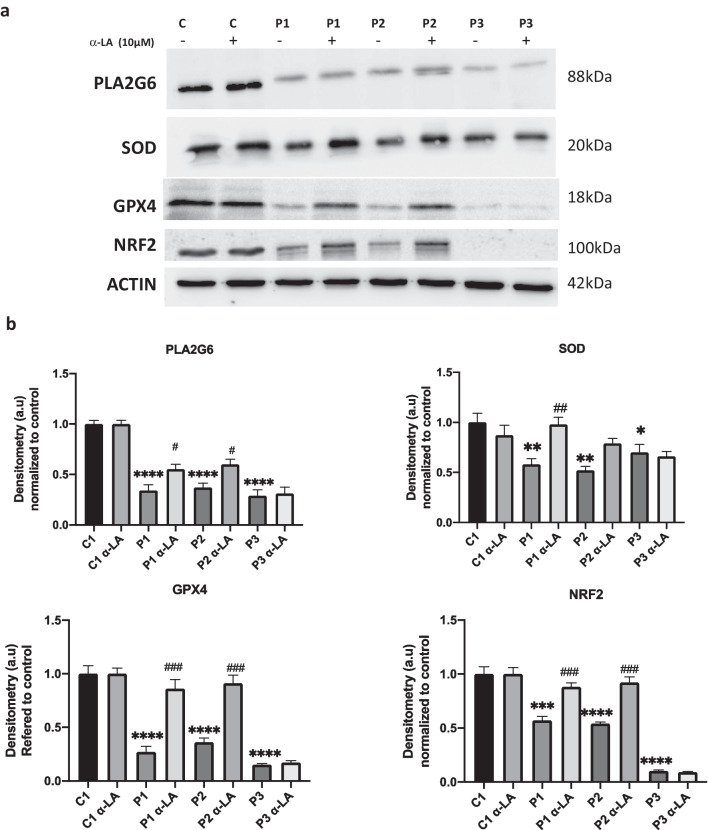 Fig. 12