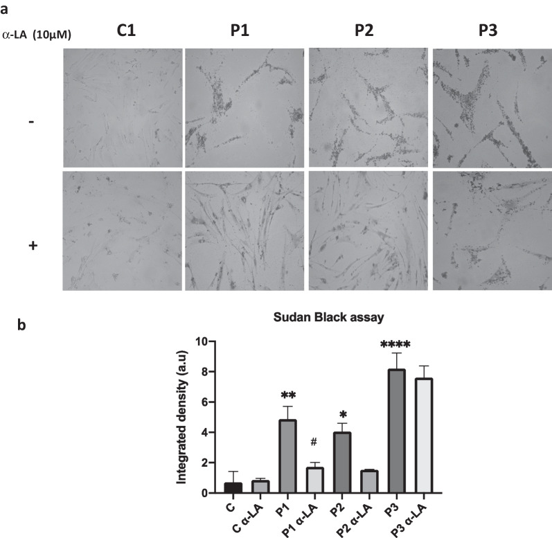 Fig. 11