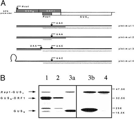 Fig. 3.