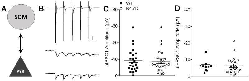 Fig 4