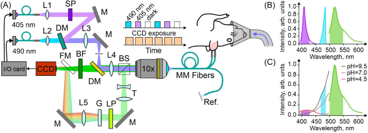 Fig. 1