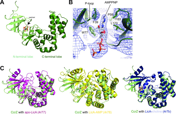 Fig 3